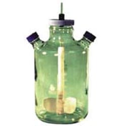 Bellco Glass, Inc. Promotes optimal growth of suspension and micro-carrier culture. Impeller height adjust through compression fitting center cap. The indented bottom prevents accumulation of micro-carrier beads under impeller    Size: 100ml    Sidearm cap: 32mm    OD x