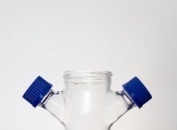 Bellco Glass, Inc. Promotes optimal growth of suspension and micro-carrier culture. Impeller height adjust through compression fitting center cap. The indented bottom prevents accumulation of micro-carrier beads under impeller.    Size: 500ml    Sidearm cap: 45mm    OD x
