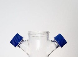 Bellco Glass, Inc. Promotes optimal growth of suspension and micro-carrier culture. Impeller height adjust through compression fitting center cap. The indented bottom prevents accumulation of micro-carrier beads under impeller.    Size: 500ml    Sidearm cap: 32mm ( includ