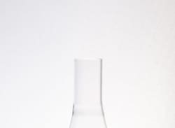 Bellco Glass, Inc.&nbsp;3 X-DP Baffle Shake Flask,250mL 38mm Delong Neck
