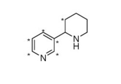 Cambridge Isotope Laboratories Anabasine (2,2',3,4,5,6-13C6, 99%) 100ug/mL