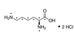 Cambridge Isotope Laboratories L-Lysine:2HCl (13C6, 99%; 15N2, 99%), 0.1g,