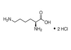Cambridge Isotope Laboratories L-Lysine:2HCl Unlabeled, 0.1g, Quantity: