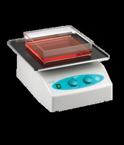Labnet International, Inc Orbit LS Low Speed Orbital Shaker, with Flat