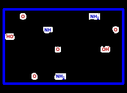 Bachem H-Glu(Gln-OH)-OH, Quantity: Each of 1