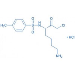 Bachem Tos-Lys-chloromethylketone · HCl, Quantity: Each of 1