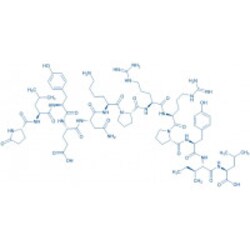 Bachem Neurotensin Acetate, Quantity: Each of 1