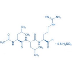Bachem Leupeptin, Quantity: Each of 1