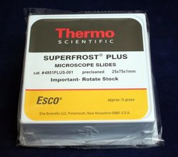 Andwin Scientific Microscope Slide, SUPERFROST PLUS-Adhes.Slide: Superfrost Plus, White, 144/pk