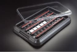 Andwin Scientific 10 SLIDE STAIN TRAY W/BLK LID, Quantity: Each of 1