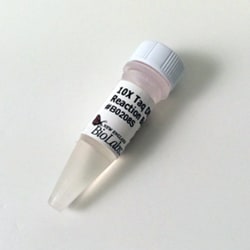 New England Biolabs, Inc. Taq DNA Ligase Reaction Buffer – 6 ml, Quantity: