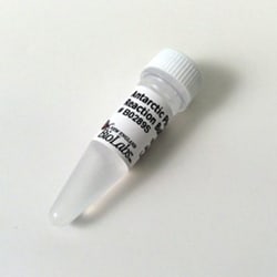 New England Biolabs, Inc. Antarctic Phosphatase Reaction Buffer – 6 ml,