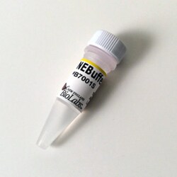 New England Biolabs, Inc. NEBuffer 1 – 5 ml, Quantity: Each of 1