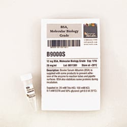 New England Biolabs, Inc. BSA-Molecular Biology Grade – 12 mg, Quantity: