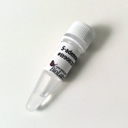 New England Biolabs, Inc. S-adenosylmethionine (SAM) – 0.5 ml, Quantity: