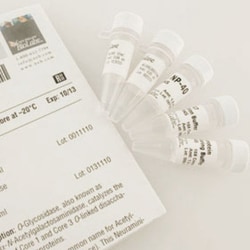 New England Biolabs, Inc.&nbsp;O-Glycosidase and Neuraminidase Bundle – 1 bundle