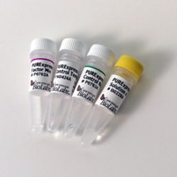 New England Biolabs, Inc. PURExpress delta Ribosome Kit – 10 reactions,