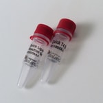 New England Biolabs, Inc. NEBNext Quick Ligation™ Module – 100 reactions
