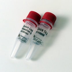 New England Biolabs, Inc. NEBNext Quick Ligation Module – 20 reactions,