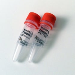 New England Biolabs, Inc.&nbsp;NEBNext&reg; Ultra&trade; II Non-Directional RNA Second Strand Synthesis Module – 100 reactions