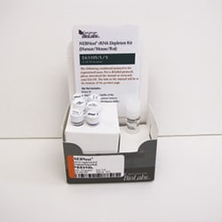New England Biolabs, Inc. NEBNext rRNA Depletion Kit (Human/Mouse/Rat)