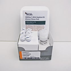 New England Biolabs, Inc. NEBNext rRNA Depletion Kit (Human/Mouse/Rat)
