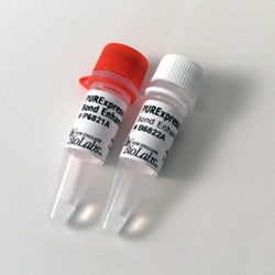 New England Biolabs, Inc. PURExpress Disulfide Bond Enhancer – 50 reactions,