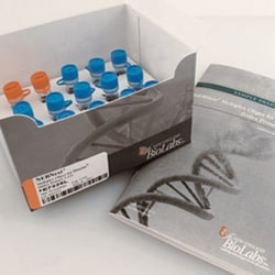 New England Biolabs, Inc. NEBNext Multiplex Oligos for Illumina (Index