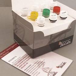 New England Biolabs, Inc.&nbsp;NEBNext Library Quant Kit for Illumina – 500 reactions