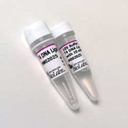 New England Biolabs, Inc. T4 DNA Ligase – 100000 units, Quantity: Each