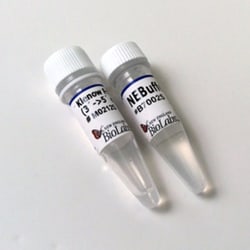 New England Biolabs, Inc. Klenow Fragment (3'-5' exo-) – 1000 units, Quantity: