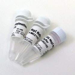 New England Biolabs, Inc.&nbsp;MspI Methyltransferase – 100 units