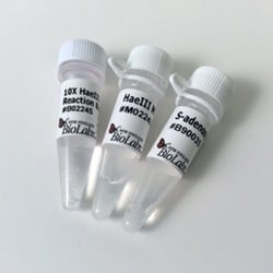 New England Biolabs, Inc. Haelll Methyltransferase – 500 units, Quantity: