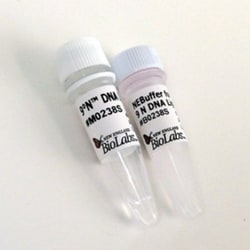 New England Biolabs, Inc.&nbsp;9°N&trade; DNA Ligase – 2500 units