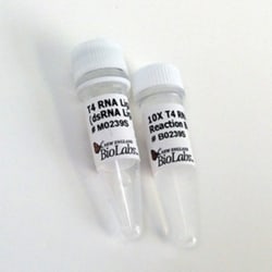 New England Biolabs, Inc. T4 RNA Ligase 2 – 750 units, Quantity: Each of
