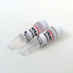 New England Biolabs, Inc. RNase I – 25000 units, Quantity: Each of 1