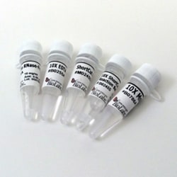 New England Biolabs, Inc. ShortCut RNase III – 200 units, Quantity: Each