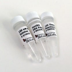 New England Biolabs, Inc. Vent DNA Polymerase – 200 units, Quantity: Each