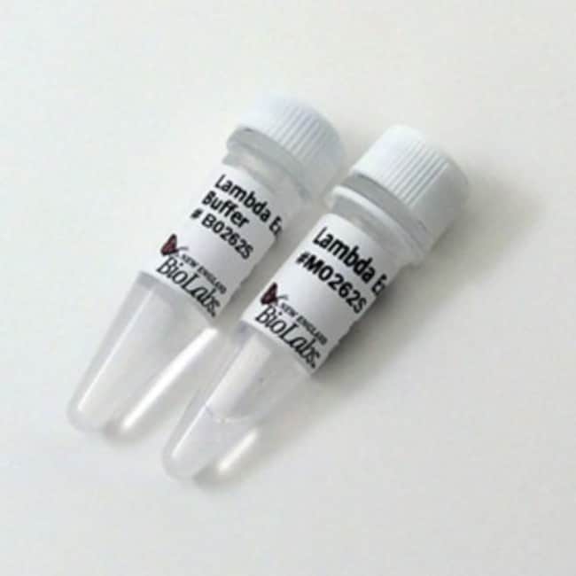 New England Biolabs, Inc. Lambda Exonuclease 1000 units, Quantity
