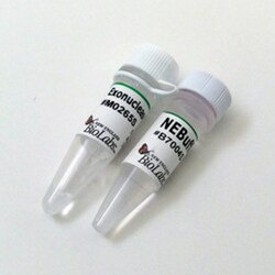New England Biolabs, Inc. Exonuclease T – 250 units, Quantity: Each of