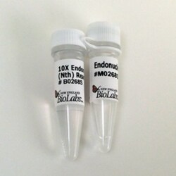 New England Biolabs, Inc. Endonuclease III (Nth) – 1000 units, Quantity: