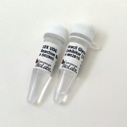 New England Biolabs, Inc. Uracil Glycosylase Inhibitor (UGI) – 200 units,