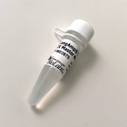 New England Biolabs, Inc. LongAmp Taq 2X Master Mix – 100 reactions (50