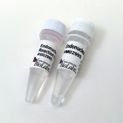 New England Biolabs, Inc.&nbsp;Endonuclease VIII – 1000 units