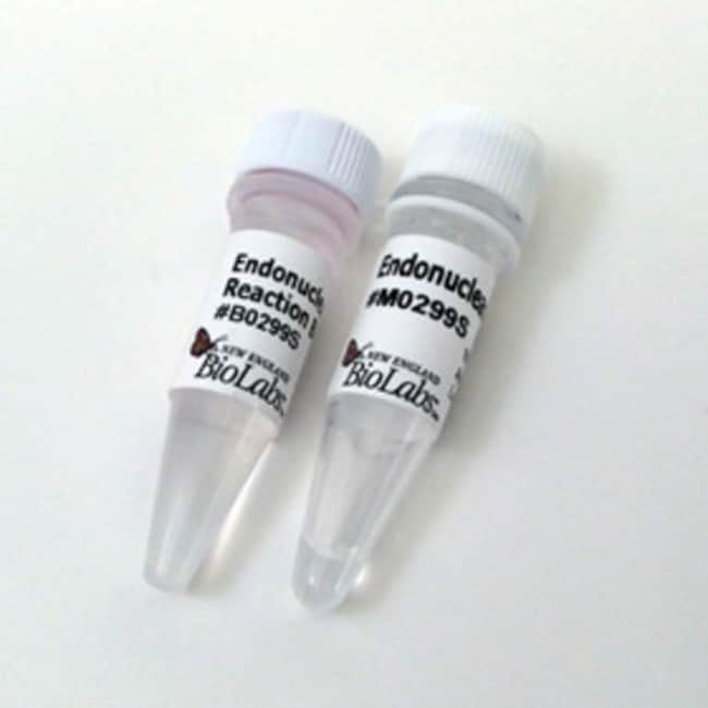New England Biolabs, Inc. Endonuclease VIII 1,000 units ENDO VIII1