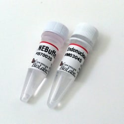 New England Biolabs, Inc. Endonuclease IV – 5000 units