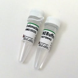 New England Biolabs, Inc. Endonuclease V – 250 units, Quantity: Each of