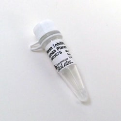 New England Biolabs, Inc. RNase Inhibitor, Human Placenta – 10000 units,