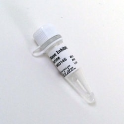 New England Biolabs, Inc. RNase Inhibitor, Murine – 15000 units, Quantity: