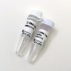 New England Biolabs, Inc. T3 DNA Ligase – 100000 units, Quantity: Each